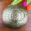 Metal Wall Wall Sconce
