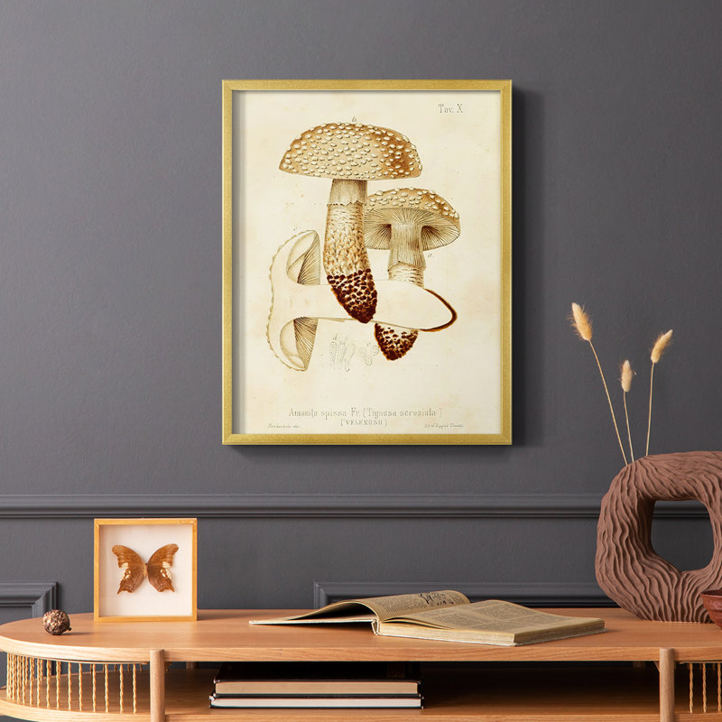 «Mushroom Variétés», reproduction encadrée en bois massif, Or, H 14 po x l 11 po