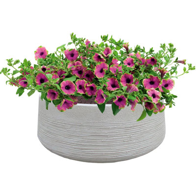 Fibreglass Plant Pot