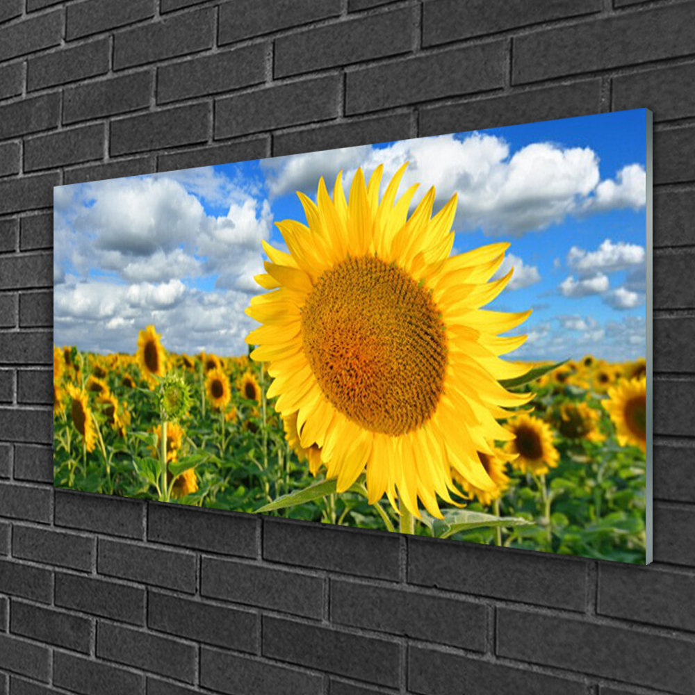 Glasbild Floral Sonnenblumen