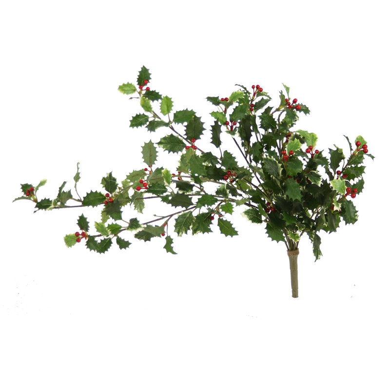 Ensemble 12 branches de vigne holly