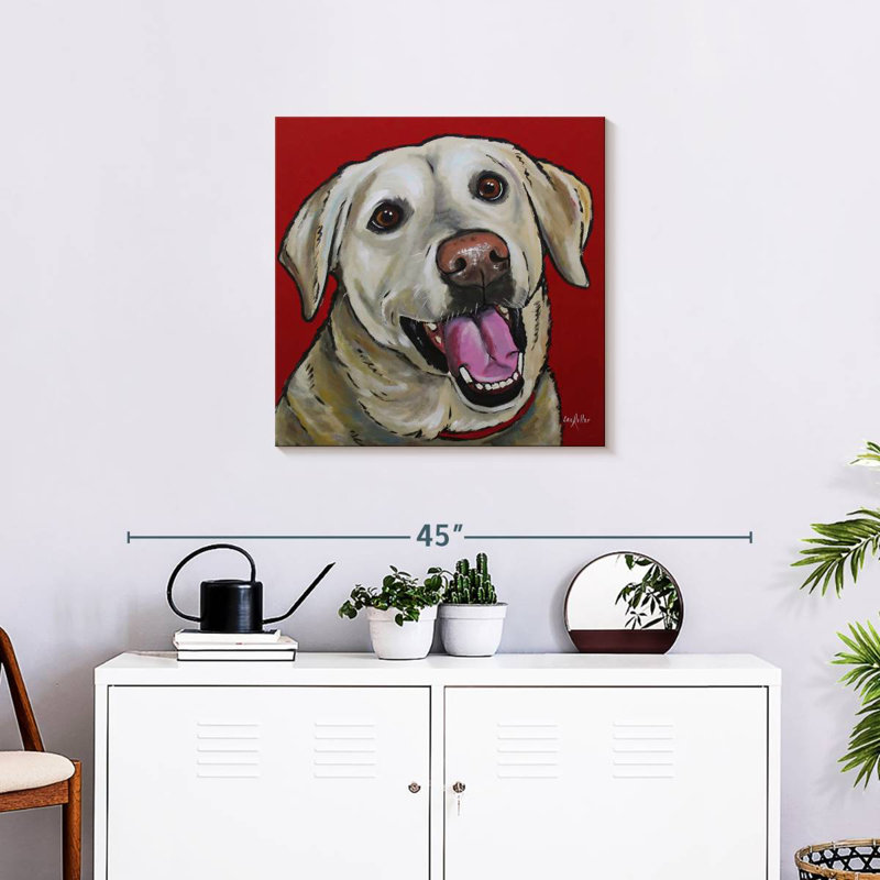 Crowle Lab Marley Labrador