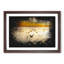Birds On The Beach - Single Picture Frame Print on MDF-56867027-56867031