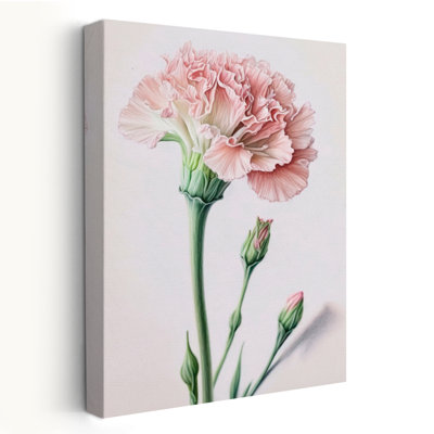 Œillets rose poudré - Art floral