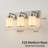 Dimmable Transitional Vanity Light