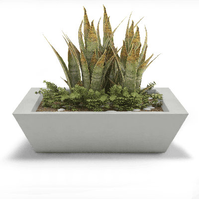 Newport Shallow Concrete Planter 