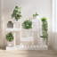 Alvester Plant Stand-79029004