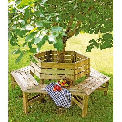 Baumbank Diara aus Holz - 230 cm