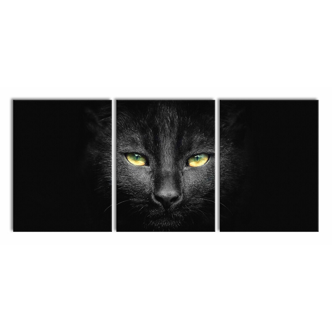 3-tlg. Leinwandbilder-Set Dark Black Cat Face