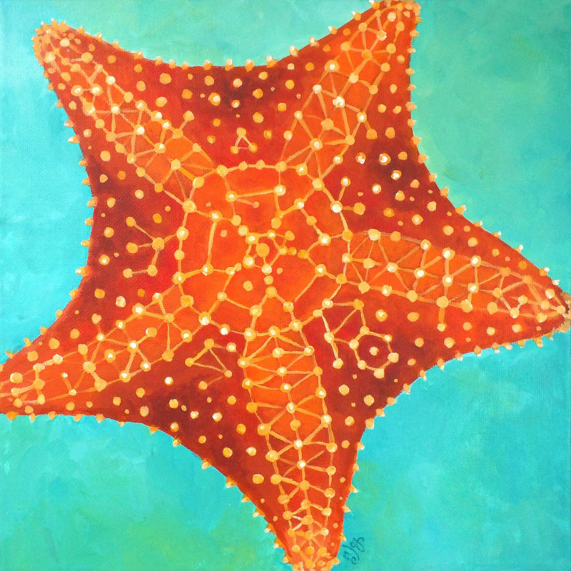 'Orange Starfish' Print on Wrapped Canvas, 32" H x 32" W
