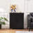 Farnborough Accent Cabinet-1102368873