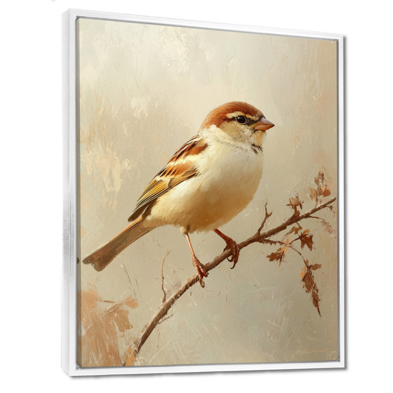 Krupa Curious Moineau I - oiseau, art mural, H 20 po x l 12 po, Impression encadrée flottante, Blanc