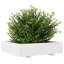 Bhavika Planter Box-1814111148-1814111156