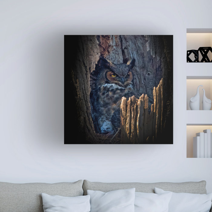 Millwood Pines Hide And Seek On Canvas by Yu Cheng Print | Wayfair