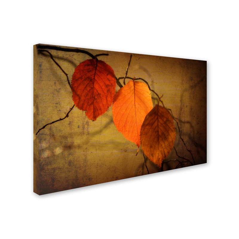 Autumn Leaves Textured Canvas Art by Philippe Sainte-Laudy