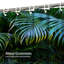 Rideau de douche Palm Tree-2046258866