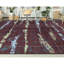 Oriental Area Rug