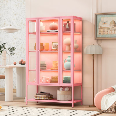 Grande vitrine en fer avec porte vitrée et lumières DEL en acier