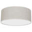 Lino Len Flush Ceiling Light