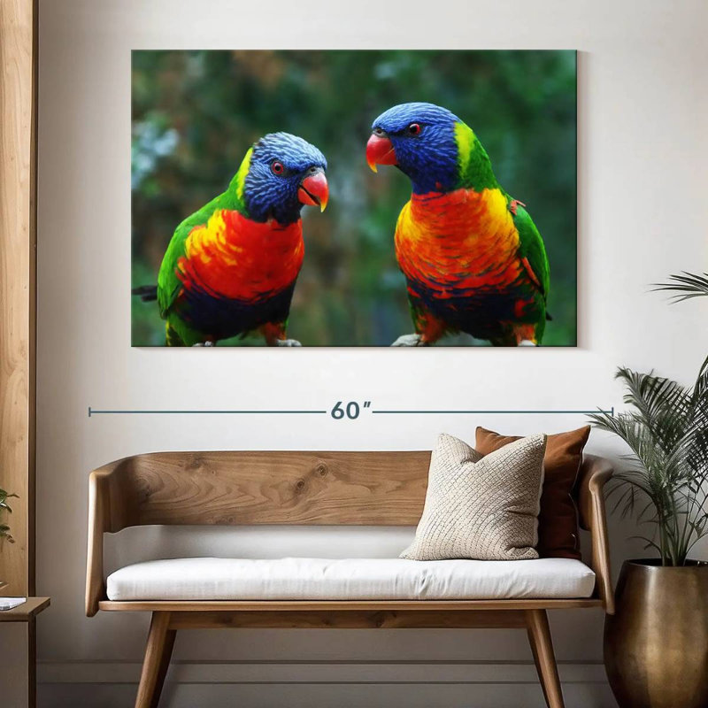 «Brampt Lorikeet Buddies», H 34 po x l 51 po