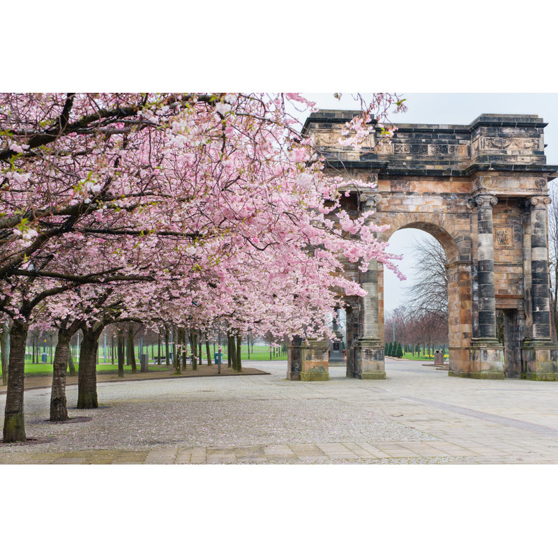 Spring Pink Trees Outside Glasgow Green 1 Piece Wrapped Canvas Wall Art, 81cm H x 122cm W x 3.8cm D