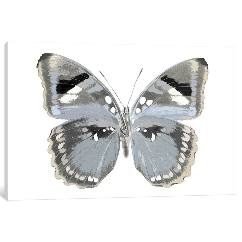 «Butterfly in Grey I», reproduction d'art sur toile, H 8 po x l 12 po x P 0,75 po