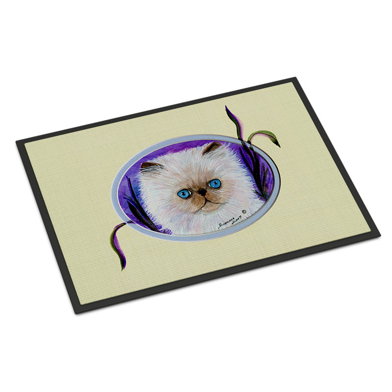 Tapis d'entrée pour chat Stringtown, Rectangle 1 pi 6 po x 2 pi 3 po