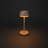 Lyon Cordless Table Lamp - USB Rechargeable, RGB Dimmable LED, Elegant Design-110764324