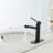 WIZ Single-Handle Single Hole Low-Arc Bathroom Faucet-107558762