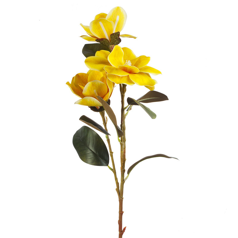 Magnolia Arrangement, Yellow