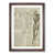 Walnut Framed selected
