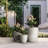 Lughan Handmade Pot Planter-589581531