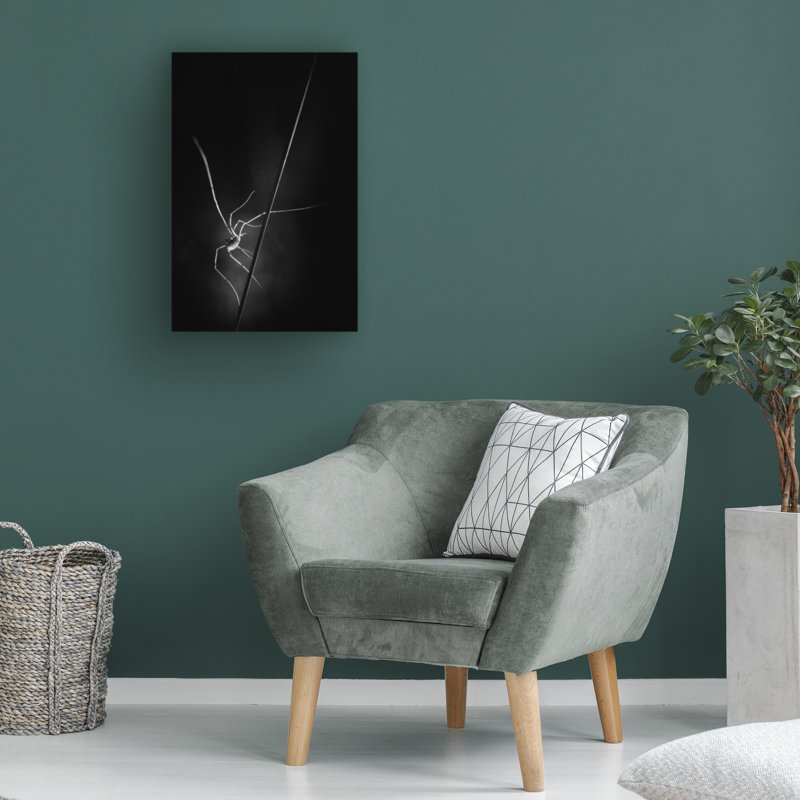 Art sur toile «ologic boli gerec », H 19 po x l 12 po