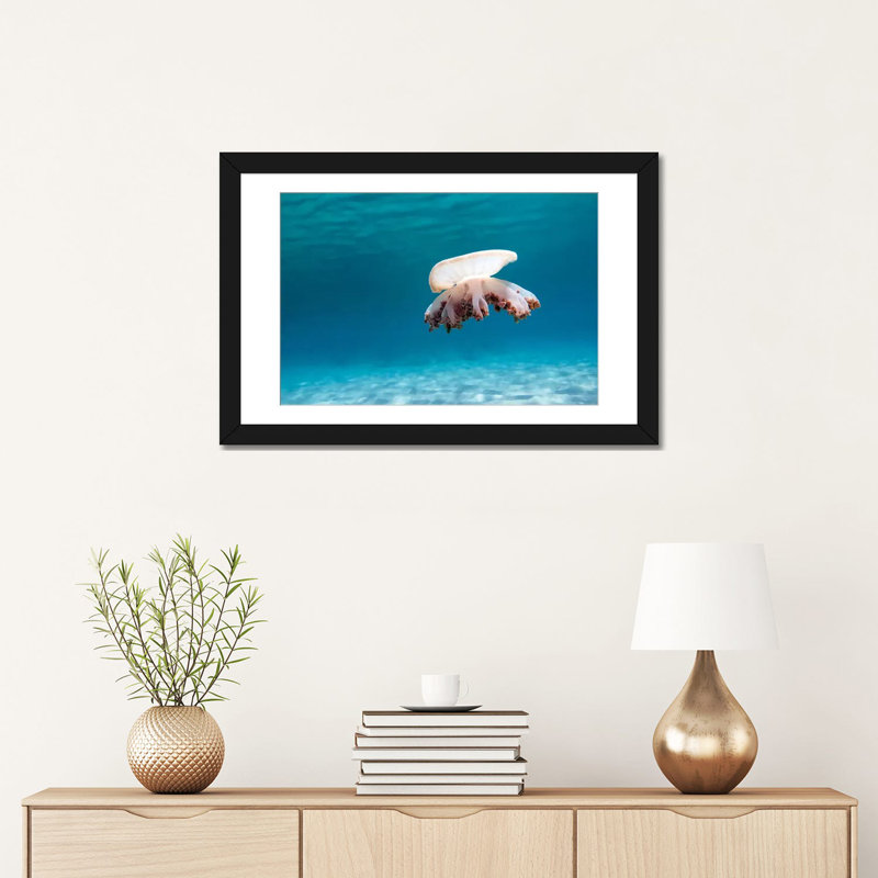 « envers jellyfish », reproduction de photo sur toile, H 16 po x l 24 po x P 1 po, Papier d'art encadré noir, Blanc