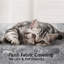 Zermatt 106cm H Cat Tree-2115013549