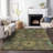 Machine Washable Indoor/Outdoor Jacinto ACN2151 Medallions Rug-54213660