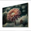 Une fleur de gerbera rose en hiver I - Impression sur toile-1198224412-1199372141