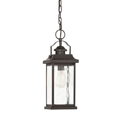 Luminaire suspendu d'extérieur 16,75 po 1 lumière