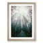 Down the Forest Path in Abstract - Picture Frame Painting Print-55545847-55545846