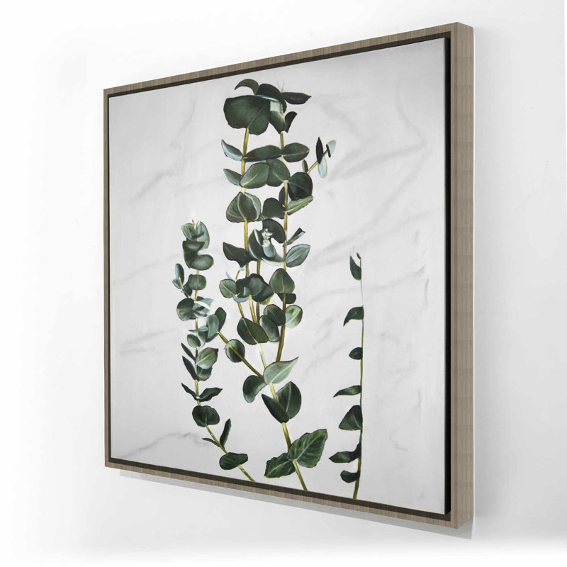 Tiges d'eucalyptus - Toile encadrée verte minimaliste