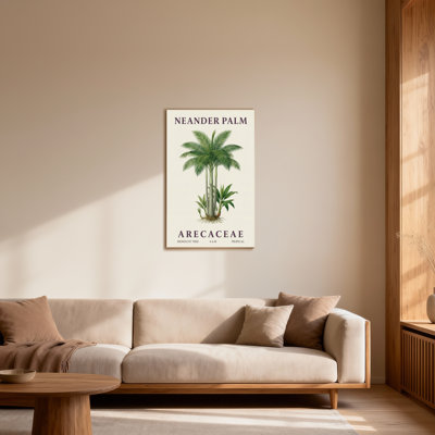 Plantes et fleurs Neander Palm Arecacées tropicales monocotylédones 4-6 m