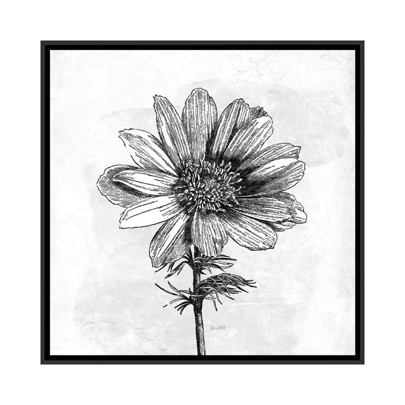 «Spa Botanical IV B&W Katie Partiet», reproduction d'impression sur toile, H 18 po x l 18 po x P 1,5 po, Pas de tapis