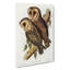 Masked Barn Owls by Elizabeth Gould - Wrapped Canvas-55363040