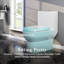 Toilette allongée monobloc Eviva 1,2 GPF (siège inclus)