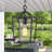 Hartshorn Outdoor Hanging Lantern
