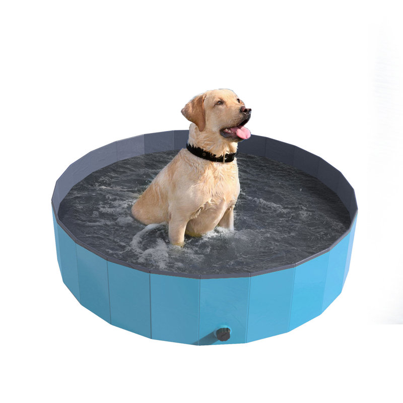 Piscine pliante portable pour chien avec sac de transport Petmaker, H 12 po x l 47 po x P 47 po, Bleu