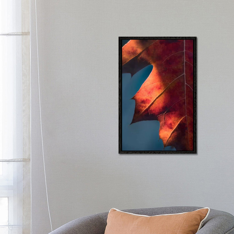 Autumn Sweetness by Philippe Sainte-Laudy - Print on Canvas, Black Framed, 66.04 cm H x 45.72 cm W