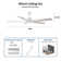 Liandro 60'' Ceiling Fan with Light