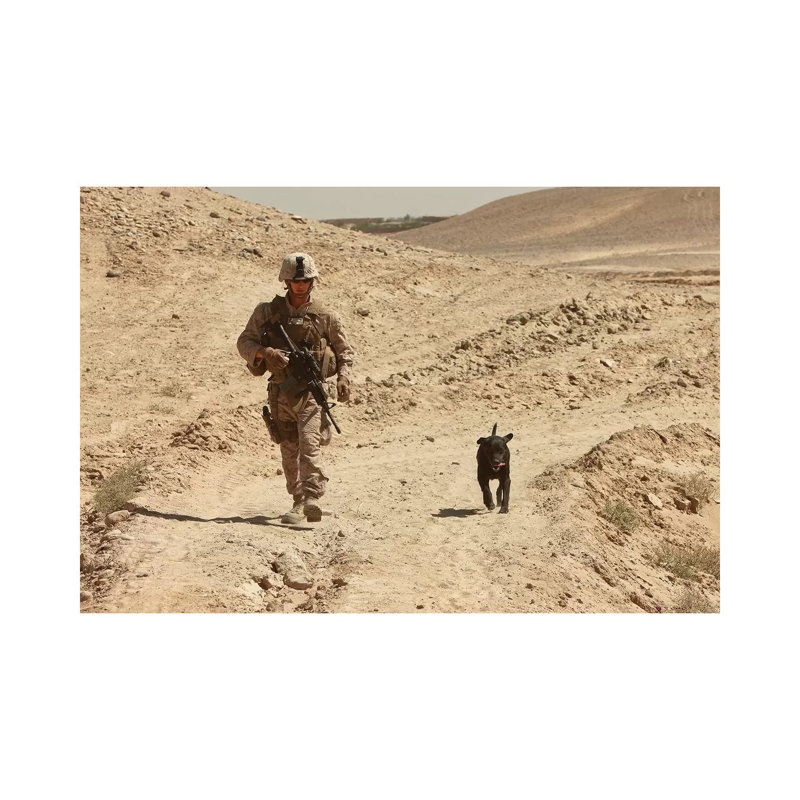 A Dog Handler Walks With An Explosives Detection Dog While On Patrol by Stocktrek Images - Wrapped Canvas Print