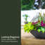 Pot à fleurs 20 po Mayne Evolve-1173114617